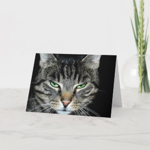 Cartão Pensando em você tão longe, um gato zangado