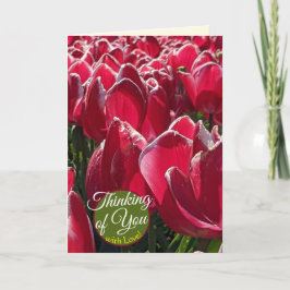 Cartão Pensando em Você Tulipas Vermelhas Saudações Flora