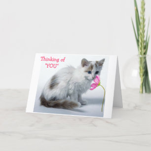 CARTÃO PENSANDO EM VOCÊ/VOCÊ ESTÁ TORNANDO UM ANO MAIS VE