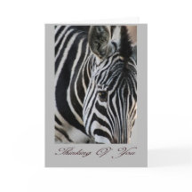 Pensando em você - Zebra - Animal