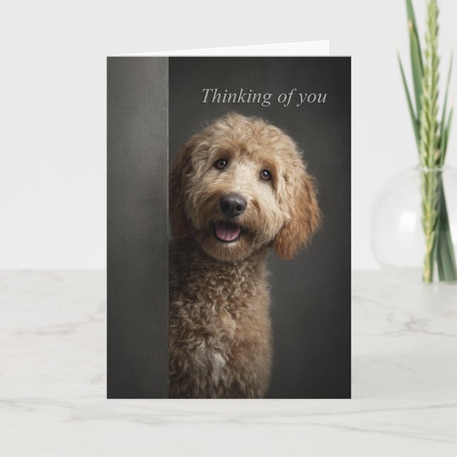 Cartão Pense em Você Goldendoodle (Frente)