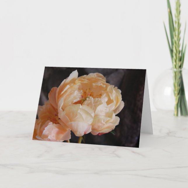 Cartão Peônias 6 (Frente)