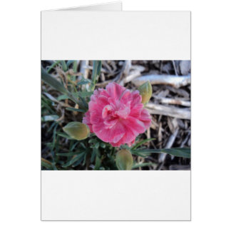 Cartão Peony