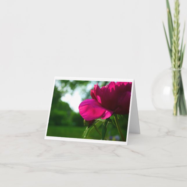 Cartão Peony Blank Notecard (Frente)