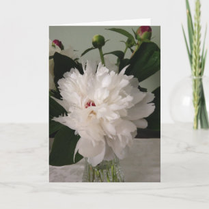 Cartão Peony, Card