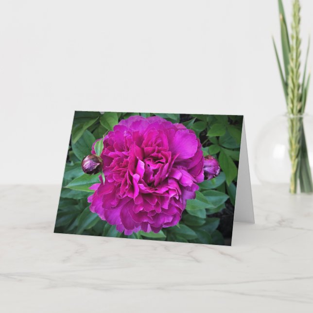 Cartão Peony, carta (Frente)