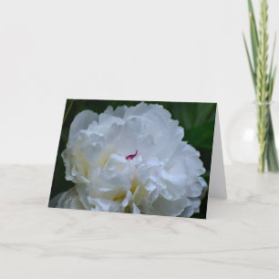 Cartão Peony, carta