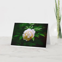Cartão Peony, carta