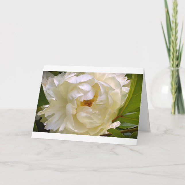 Cartão Peony, carta (Frente)