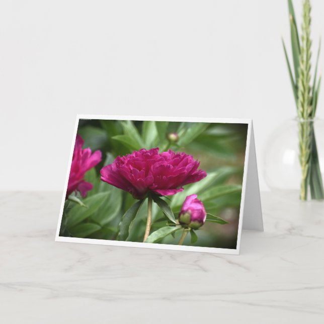 Cartão Peony, carta (Frente)