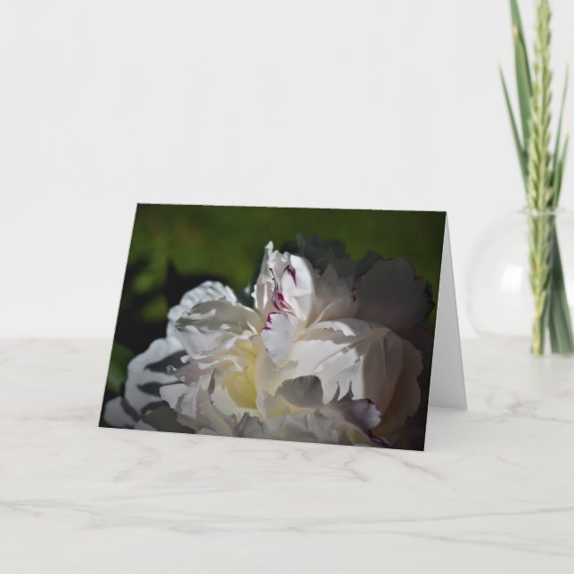 Cartão Peony, carta (Frente)