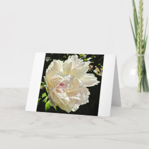 Cartão Peony, carta