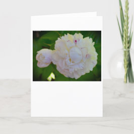 Cartão Peony, carta