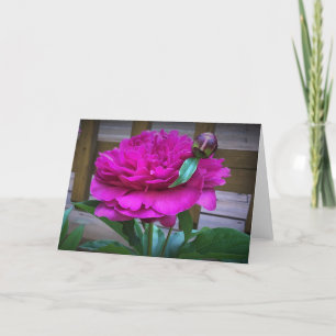 Cartão Peony, carta