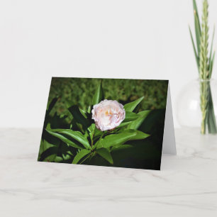 Cartão Peony, carta