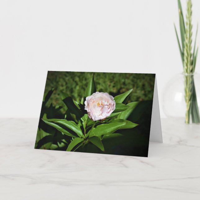 Cartão Peony, carta (Frente)