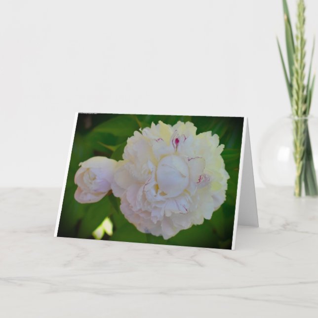 Cartão Peony, carta (Frente)