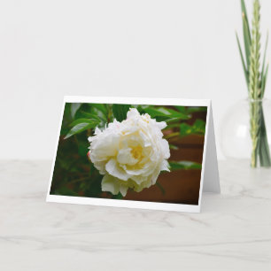 Cartão Peony, carta