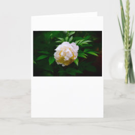 Cartão Peony, carta
