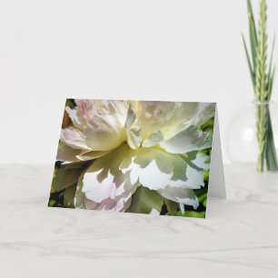 Cartão Peony, carta