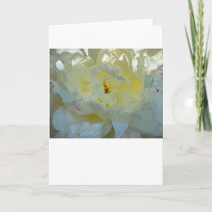 Cartão Peony, carta