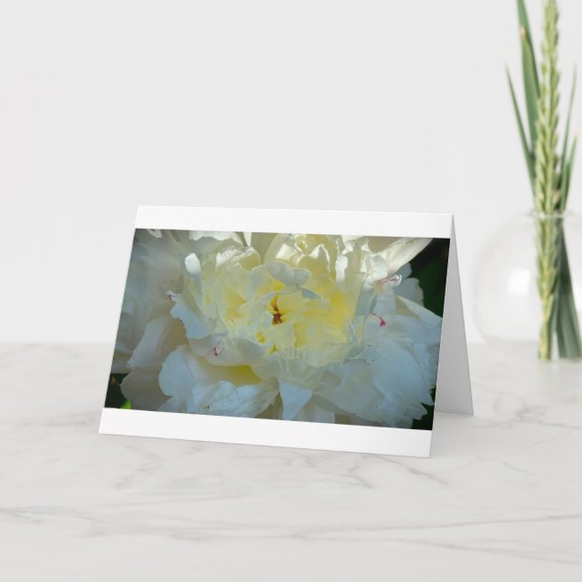 Cartão Peony, carta (Frente)