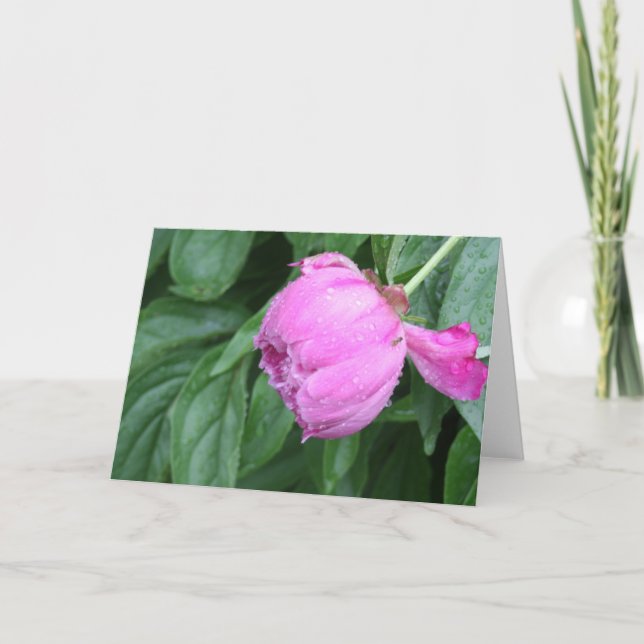 CARTÃO PEONY NOTE CARD (Frente)