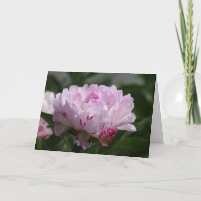 Cartão Peony "Petit Elegance" (Frente)