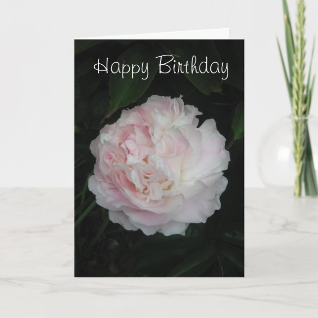 Cartão Peony Rose Birthday Card (Frente)