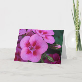 Cartão Pepperminta - Rosa Gerânio