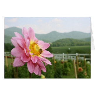 Cartão Pequena Abelha Grande Mundo