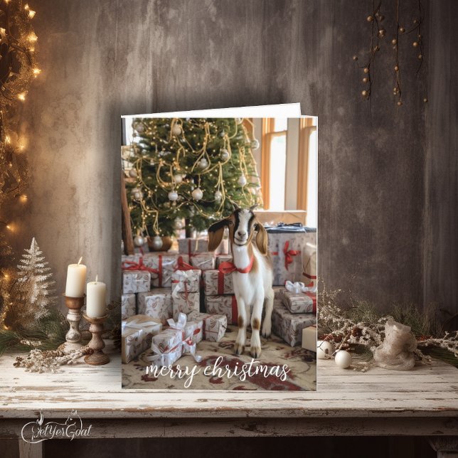 Cartão Pequena Boi Capturada para o Natal (Just looking for his present ,  who could resist this adorable boer goat kid?   #zazzlemade)