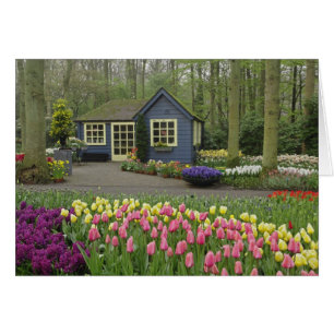 Cartão Pequena cabana de loja de flores, Jardins Keukenho