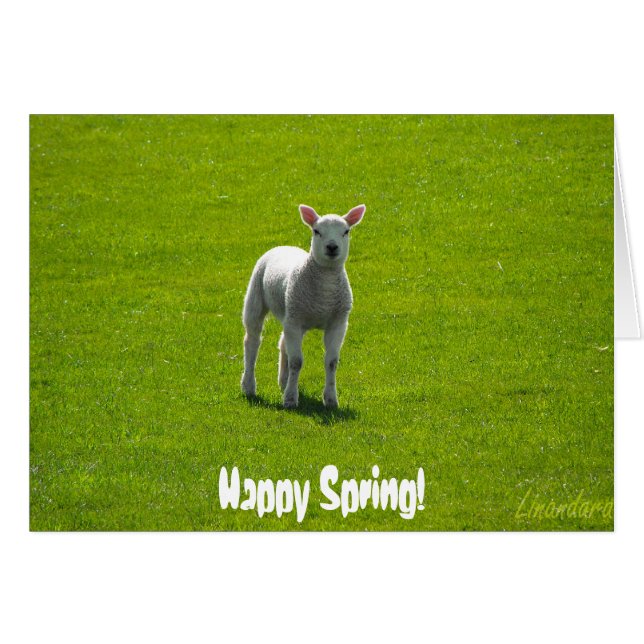 Cartão Pequena Lambe (Frente Horizontal)