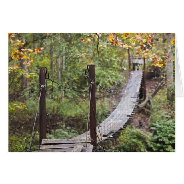 Cartão Pequena ponte pendurada, Patrimônio Nacional do Ca (Frente Horizontal)