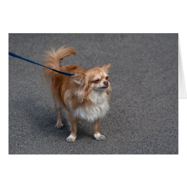 Cartão Pequena Ruiva (Frente Horizontal)