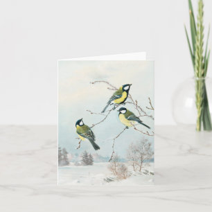 Cartão Pequenas aves bonitas de Matti Karppanen, Birds Ar