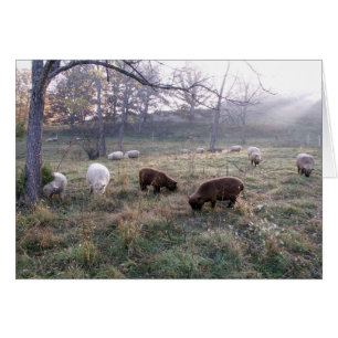 Cartão Pequeno almoço no alvorecer