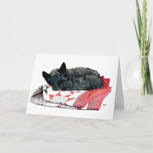 Cartão Pequeno Cachorro Scottie Adormecido