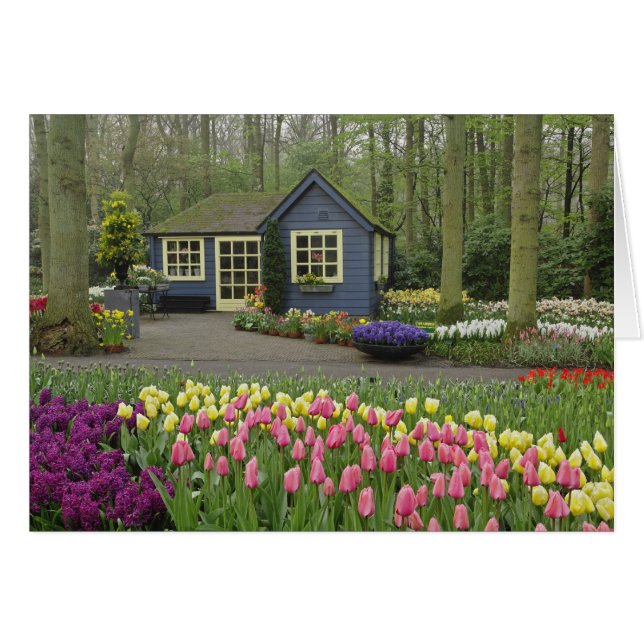 Cartão Pequeno compro de flores de algodão, Jardins de Ke (Frente Horizontal)