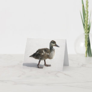 Cartão Pequeno Ducking
