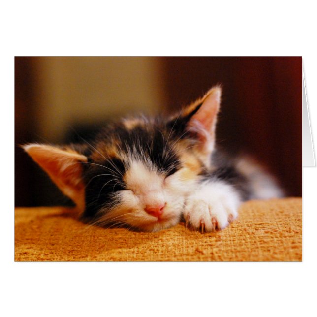 Cartão Pequeno Gatinho dormindo (Frente Horizontal)