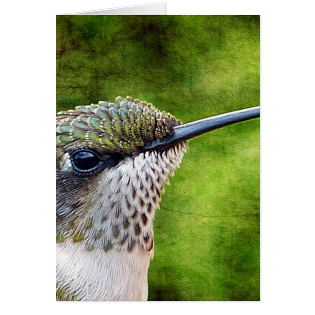 Cartão Pequeno Hummer (Frente)