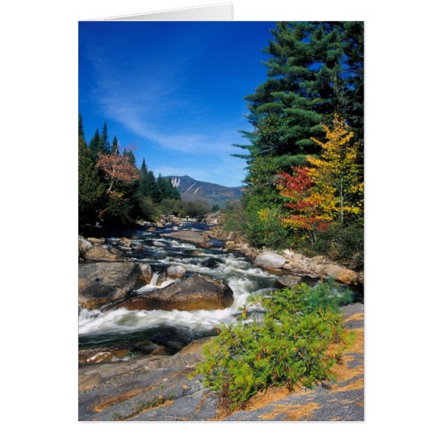 Cartão Pequeno Niagra Cai, Caminho Appalachiano, Maine (Frente)