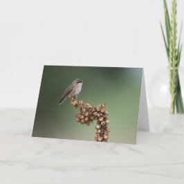 Cartão Pequeno pássaro-do-sol