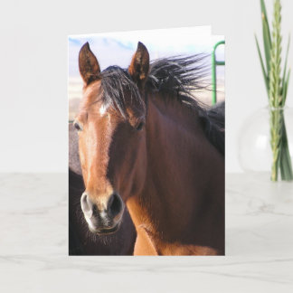 Cartão Pequeno Pouco