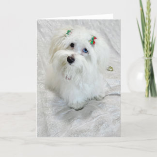 Cartão Pequeno tesouro