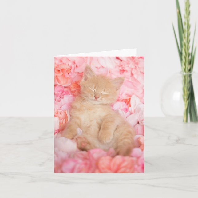 Cartão Pequeno Vazio Floral Rosa Linus Notecard (Frente)