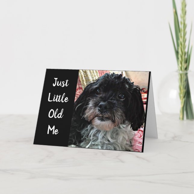 CARTÃO PEQUENO VELHO ME PERGUNTA **COMO VOCÊ ESTÁ?*** (Frente)