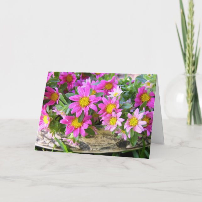 Cartão Pequenos Pinks (Frente)